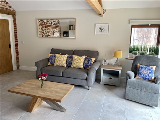 Sofa and electric reclining chair